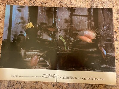 BENSON & HEDGES VENUS FLIEGENFALLE WERBUNG CA. A4 X 2 GRÖSSE # R