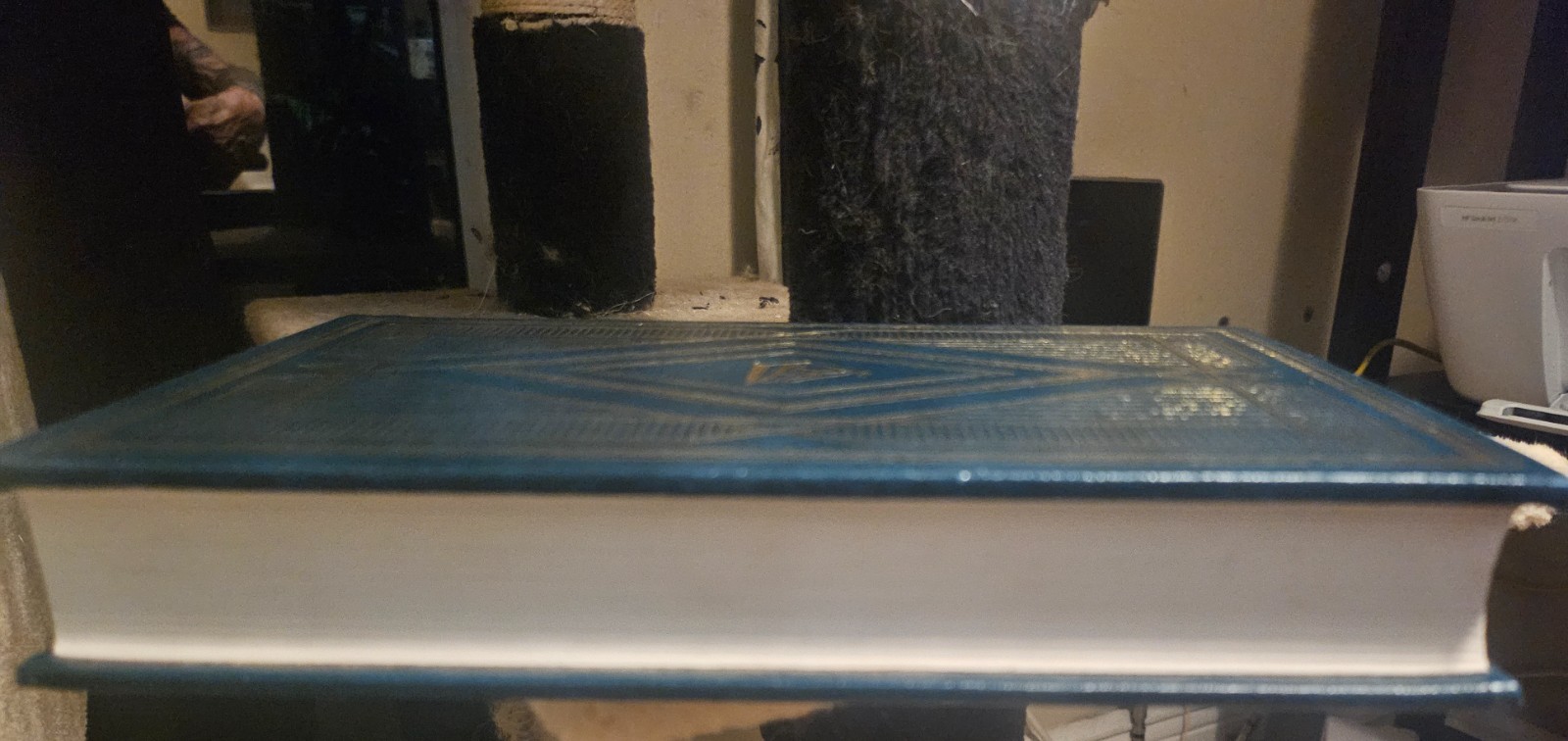 Picture 8 of 8