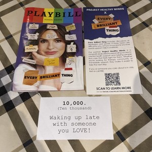 MARISKA HARGITAY EVERY BRILLIANT THING PLAYBILL With Inserts