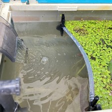 Floating Plant Fence for Aquarium, Separates Plants, Automatically Adjusts He...