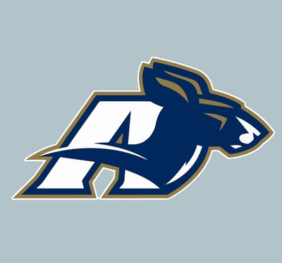 Sticker - Akron Zips Logo - Die Cut Laminated Vinyl Decal