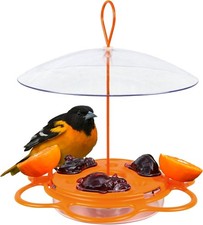 All-in-One Oriole Buffet Bird Feeder, Orange
