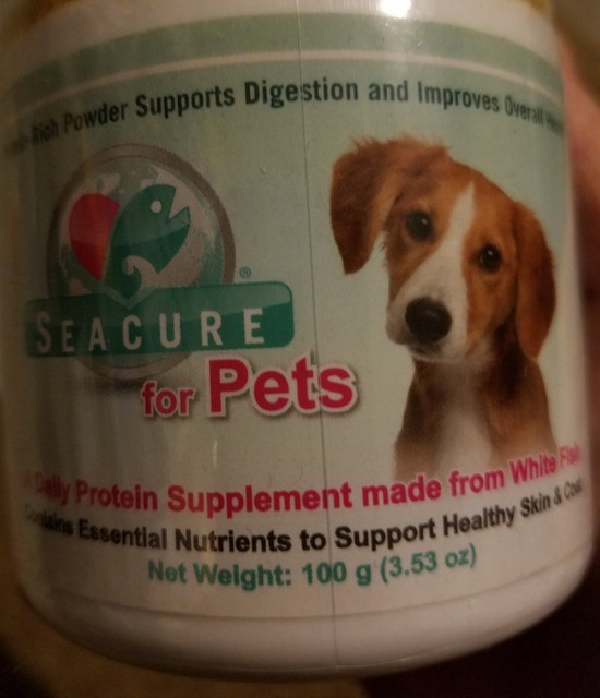 online pets health