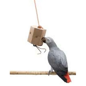 caitec bird toys