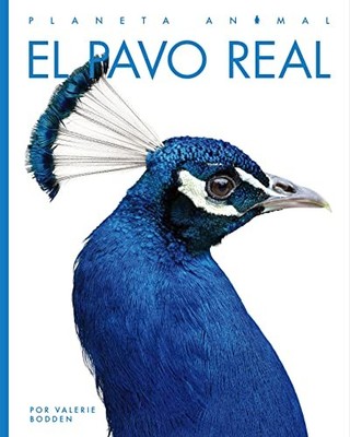 Kate Riggs El Pavo Real (Taschenbuch) Planeta Animal