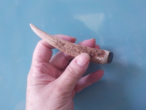 Schottischer Rothirsch Hirschhorn & Kuhhorn Kilt Pin Made in Scotland 11 cm lang.