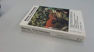 Marine Invertebrates and Plant - GOOD