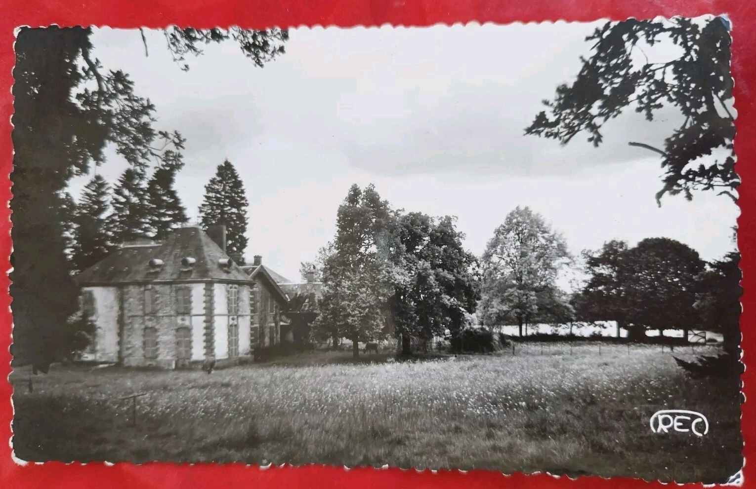 Photo 1/2