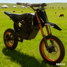 6000W 20in 60V 32AH Adult E-Bike, 60KMH US E-Mtn Canyon-Cross Speed Legend