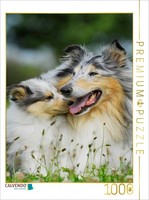 Calvendo Puzzle A Collie Mother With Her Daughter | 1000 Pieces, Finished Size 2