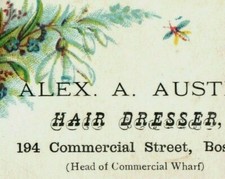 1880s-90s Alex A. Austin Hairdresser P98