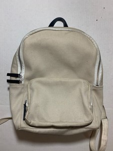 everlane canvas backpack