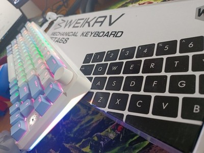 WEIKAV KTA68 Gaming Tastatur mechanisch RGB QWERTY USB beleuchtet weiß/blau