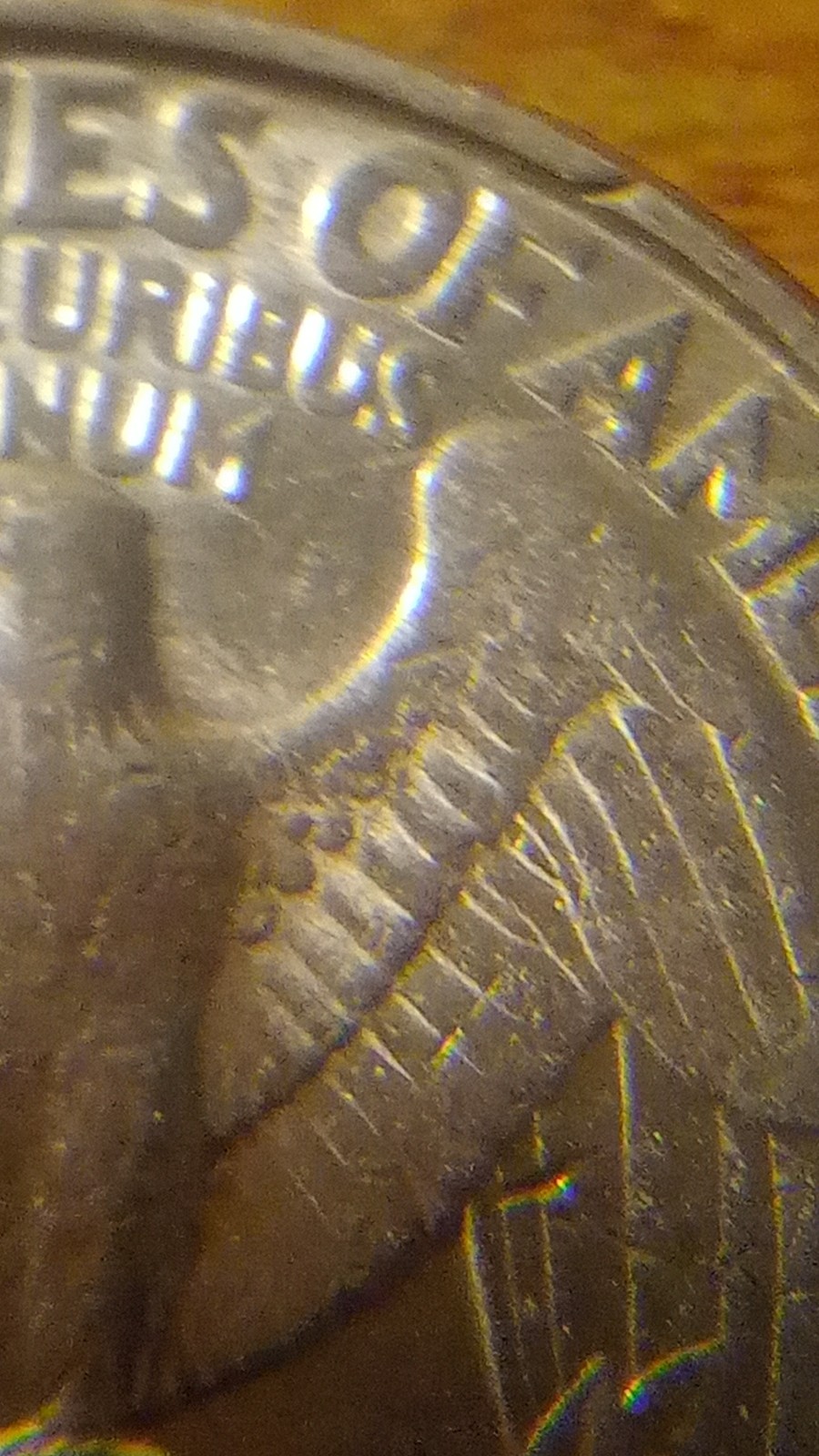 Picture 11 of 14