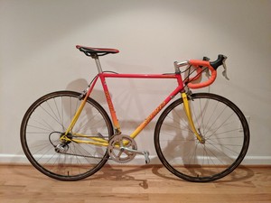 serotta ebay