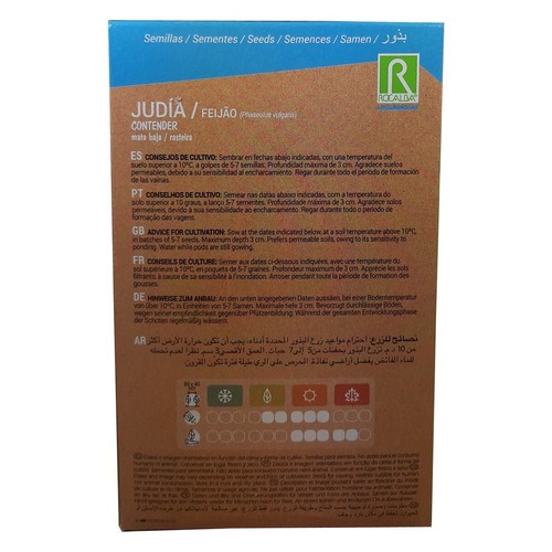 Judia Contender - Mata Baja ( 250 gr / 800 semillas aprox ) Seeds - Judía 2027 - Imagen 2 de 3