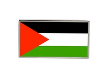 Palestine Flag Lapel Pin Badge