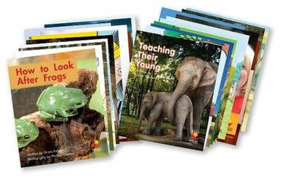 Flying Start to Literacy Phonics Module 3 Student Book Singles Pack: Student Dec