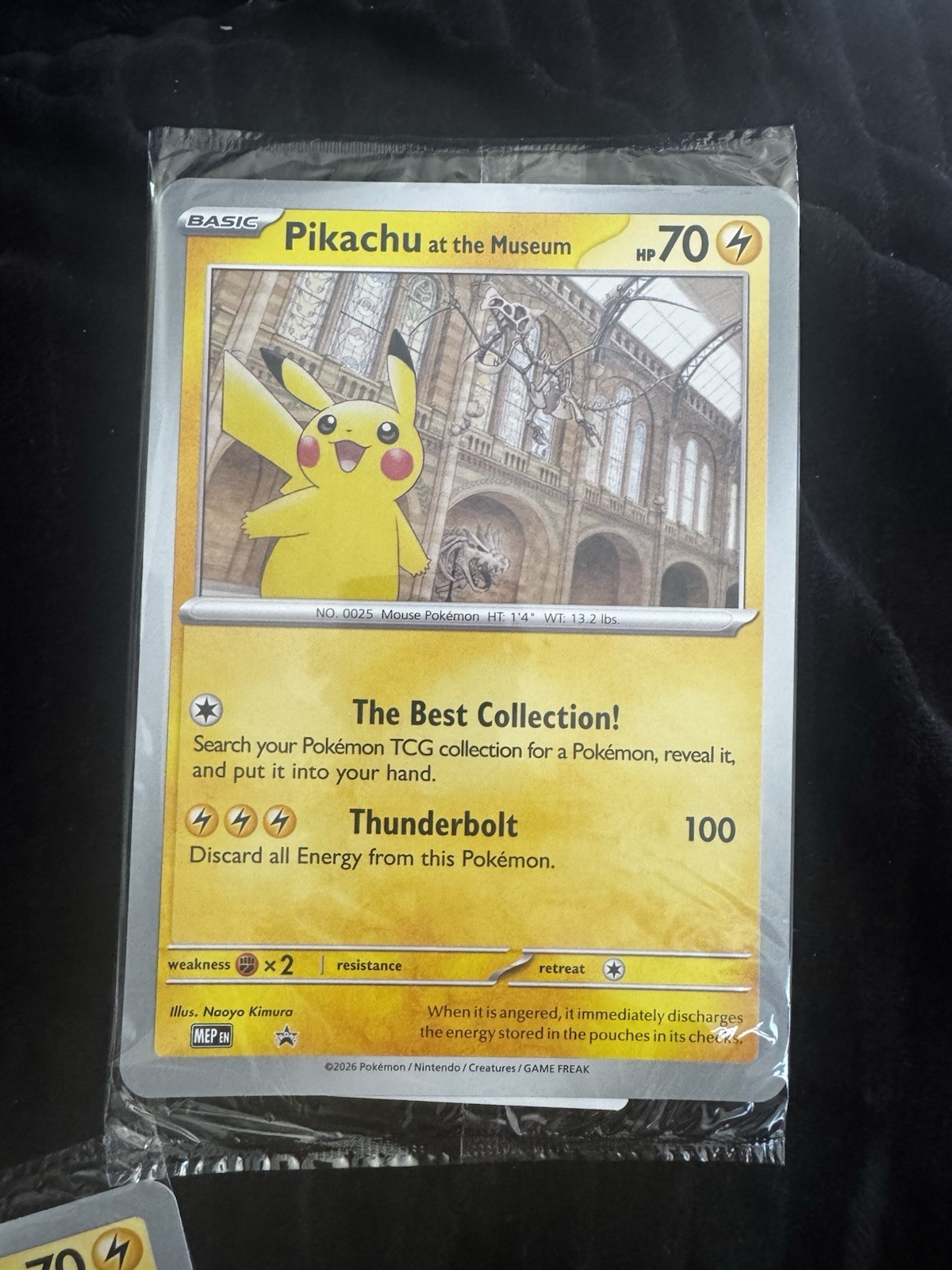 Pokémon TCG Pikachu At The Museum Jumbo Promo Card. Sealed 
