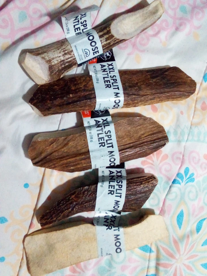 Dentley's XXL Split Moose Antler Dog Chew - Image 2 of 4