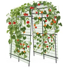 7.5FT Metal Garden Arch Rose Arbor Climbing Plant Grape Support Frame Yard New
