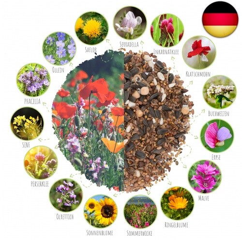 500g Schmetterlingswiese Samen für eine bunte Blumenwiese - Farbenfrohe & - Bild 3 von 7