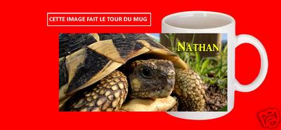 Grande Tasse Tortue Grincheuse - Century House - Céramique Blanche - Neuve