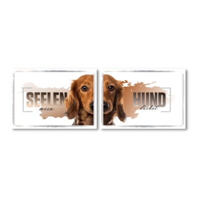 Dackel 2 Seelenhund Doppel Pack Dog Schild Spruch Türschild Hundeschild Soulmate