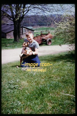 Dog at a Farm in Eastern United States in 1950s, Film Slide q24a