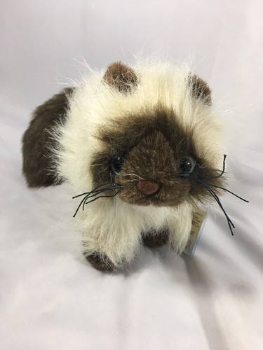 webkinz himalayan