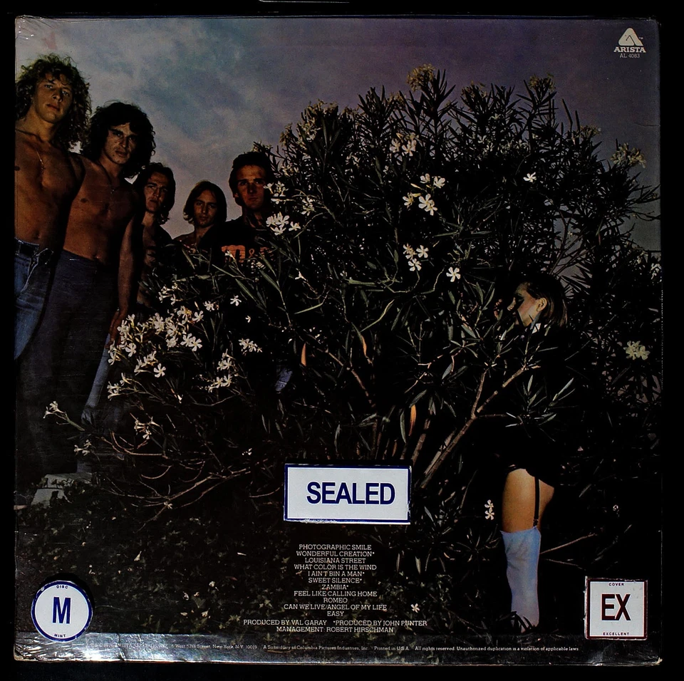 Mr. Big - Photographic Smile - original LP record [NHB2-044] USA SEALED - Image 3 of 3