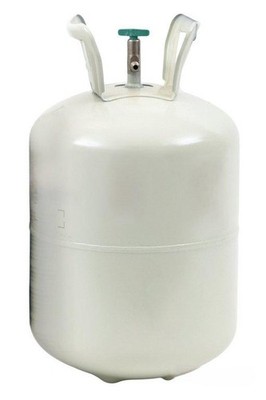 Thermo 96044G29 Bottle Charge, Topical Anesthetic, 24 lb, Unopened (3378046)