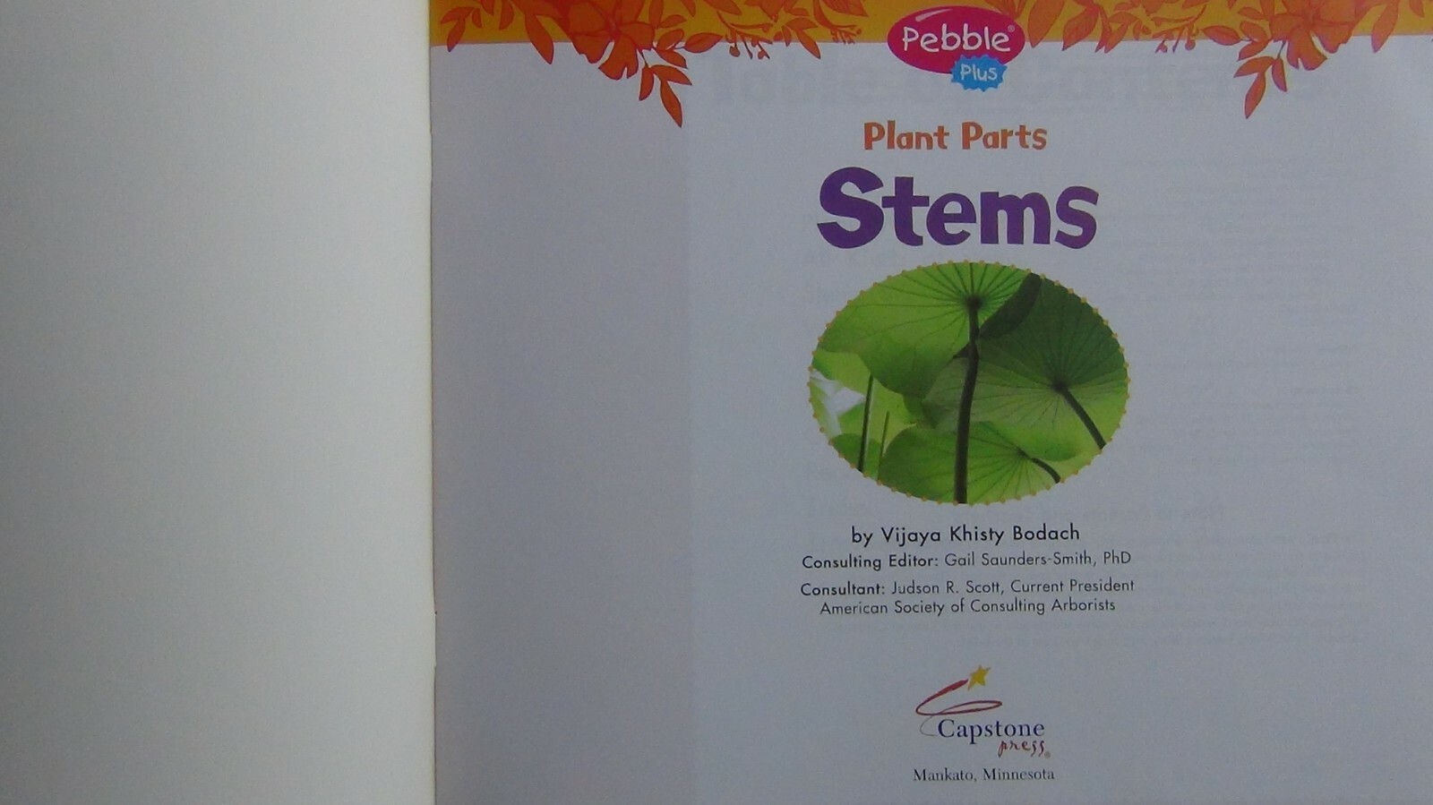 Pebbles Plus Books STEMS by Vijaya Khisty Bodach 2007 Paperback FREE