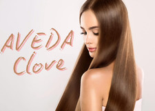 AVEDA Clove Collection - Discontinued