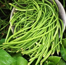 White Yard Long Bean Seeds |USA Chinese Green Beans Cowpea Fresh Asian Seed 2025