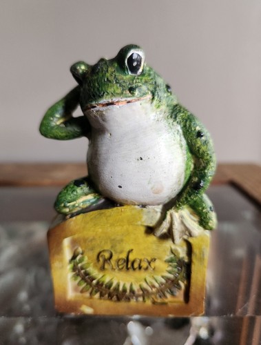 Frog Sitting On A Relax Sign Resin Figure