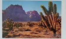 The Beauty Of The Western Desert Postcard Desert Supply Company Las Vegas UNP