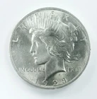 1923 MORGAN DOLLAR! GEM BU+! UNBELIEVABLE! SPECTACULAR! INCREDIBLE! NR #P2310