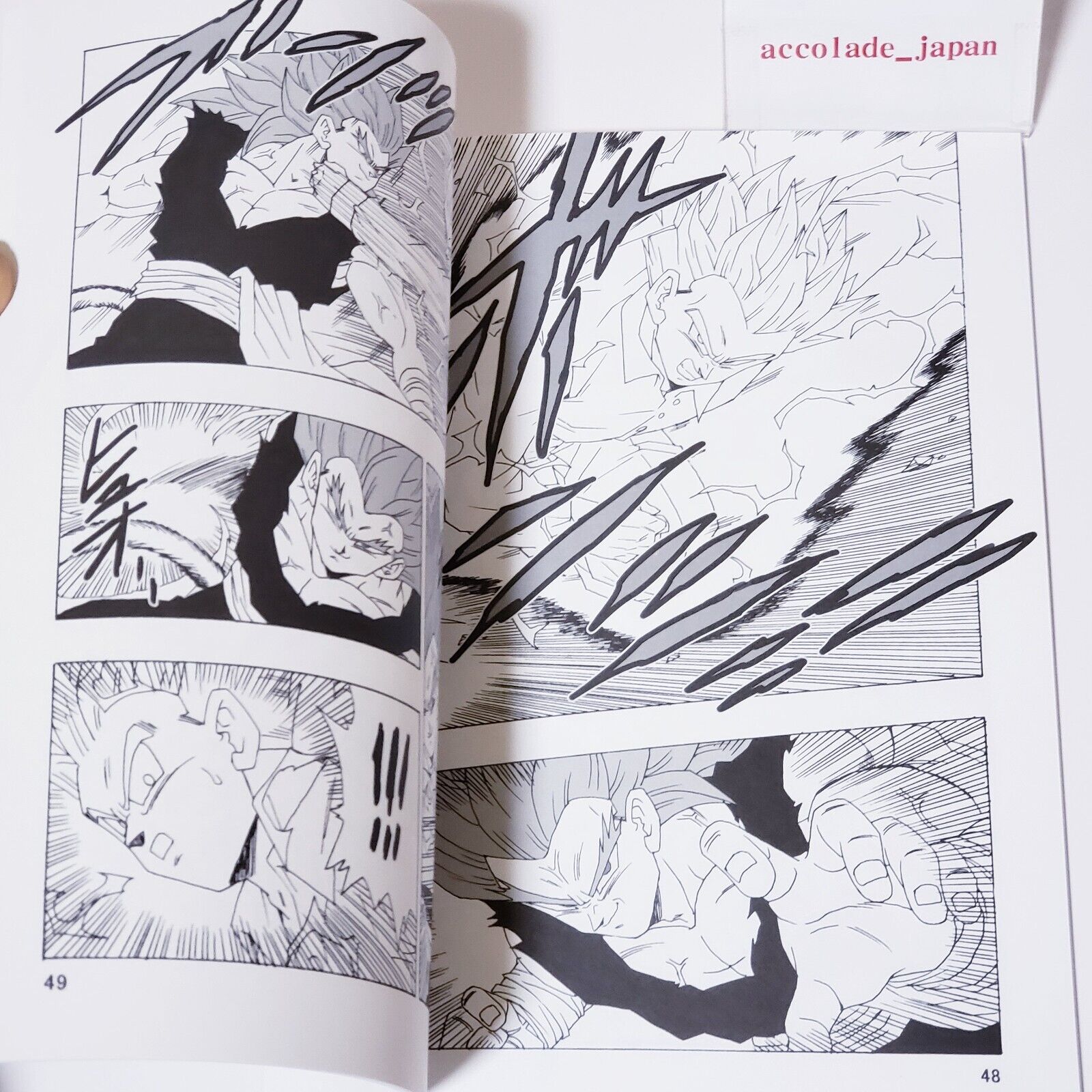 Doujinshi DRAGON BALL  AFTER THE FUTURE Vol.21