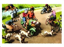 Oversized Postcard Dressed Cats Riding Bicycles Scooter Walking Dogs