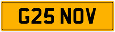 G 25th NOV NOVA NOVAK NOVEL GEO GAV GARY GAIL GAZ PRIVATE NUMBER PLATE G25 NOV