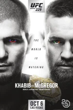 CONOR MCGREGOR KHABIB 24x36 NEW POSTER UFC 229 MMA IRELAND RUSSIA CHAMPIONSHIP!!