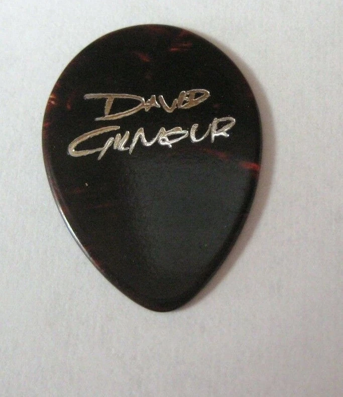 David Gilmour Rare Personal Concert Tour Fender Custom Shop Logo