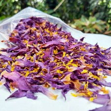 Blue Lotus Cut Flower Nymphaea Caerulea Organic Natural Herbal Tea From Ceylon