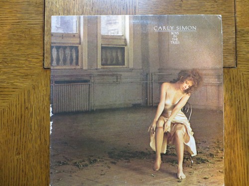 Carly Simon - Boys In The Trees - Elektra 6E-128 - Vinyl LP Record VG+/VG+