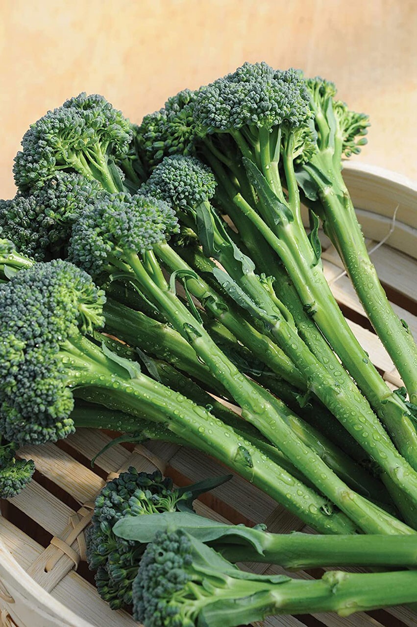 Broccoli Seeds Tenderstem® Inspiration RHS Vegetable Seeds UK Delivery