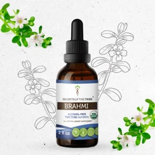 Secrets Of The Tribe Organic Brahmi Tincture Alcohol-FREE