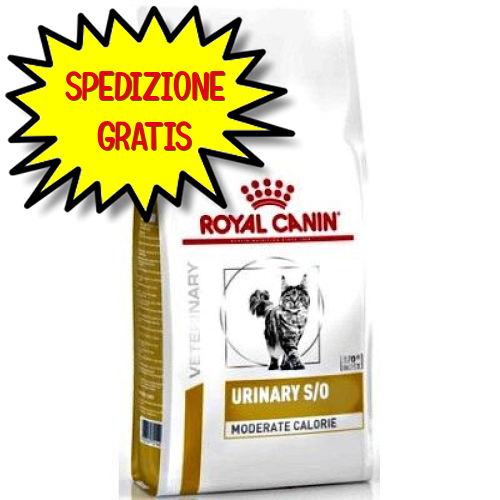ROYAL CANIN DIETA GATTO URINARY S/O MODERATE CALORIE UMC 34   1,5 KG