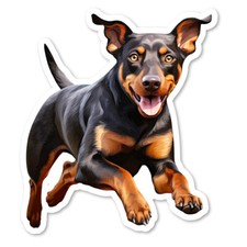 Doberman Pinscher Vinyl Sticker, Laptop, Water Bottle, Scrapbook Collectible