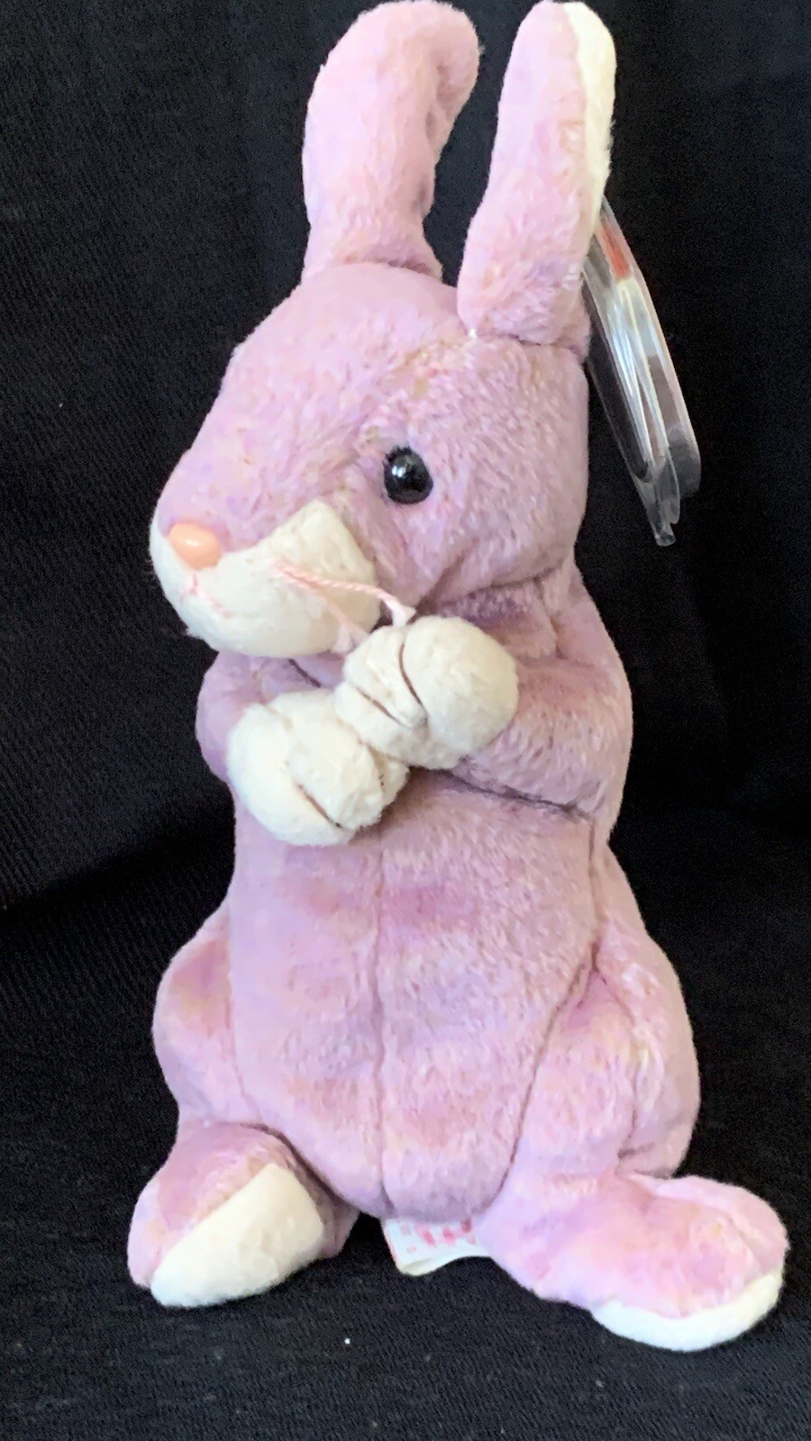 Ty Springy TY Beanie Baby - SPRINGY the Bunny (8 inch) - MWMTs Stuffed Animal Toy ...